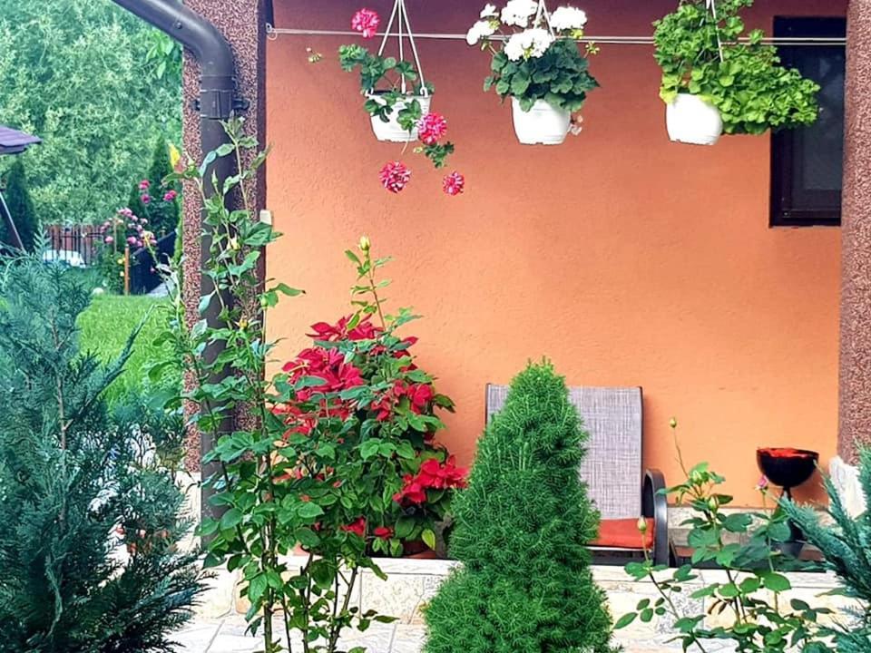 Casa Alex 호텔 사라타몬테루 외부 사진